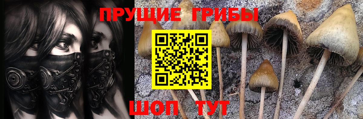 Меф Егорьевск